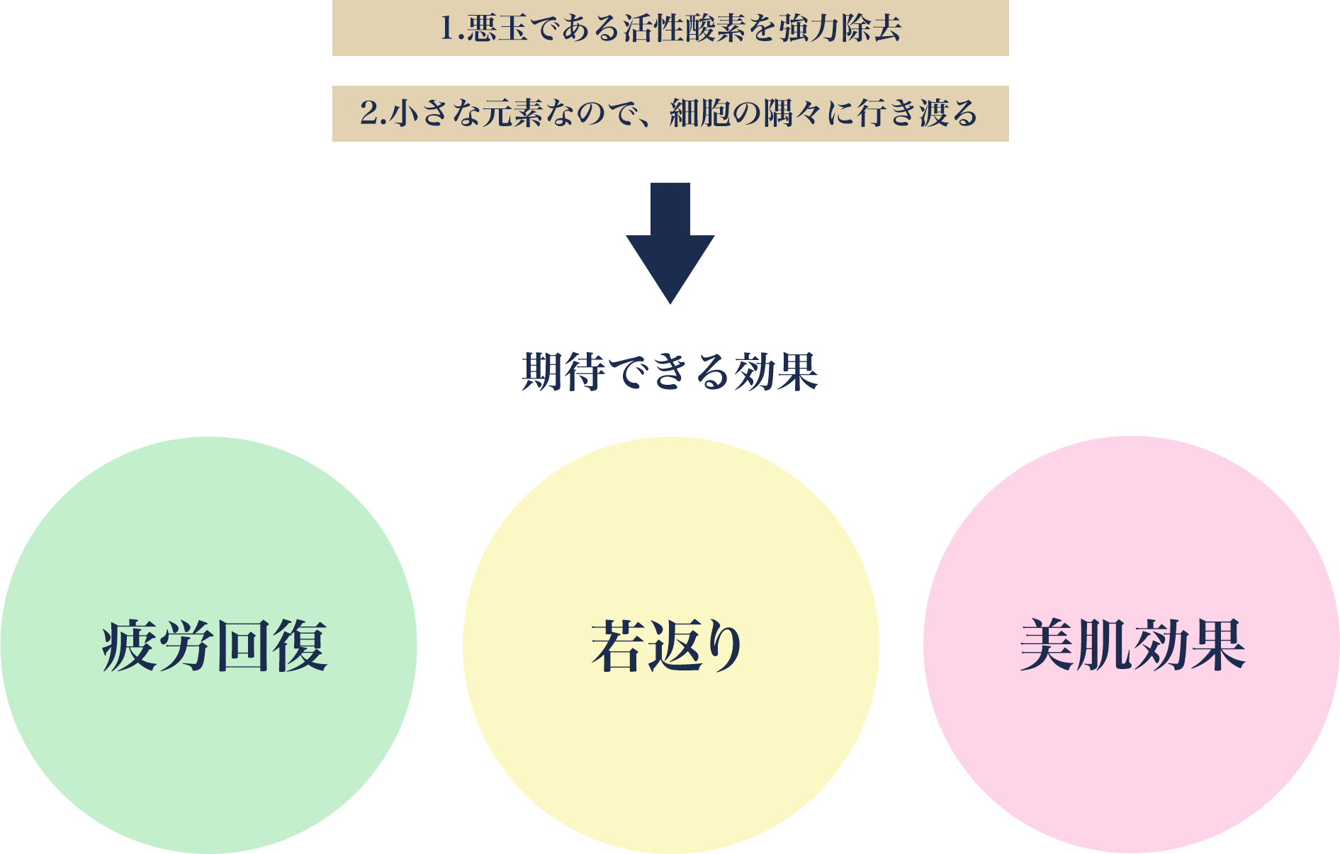 1.活性酸素を強力除去 2.細胞の隅々に行き渡る 疲労回復、若返り、美肌効果が期待できます。